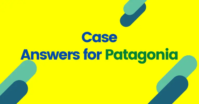Patagonia Core Value Analysis